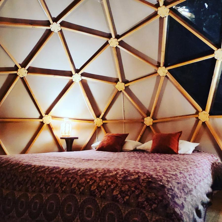 Hotel Sottu E Stelle Albitreccia Habitación foto